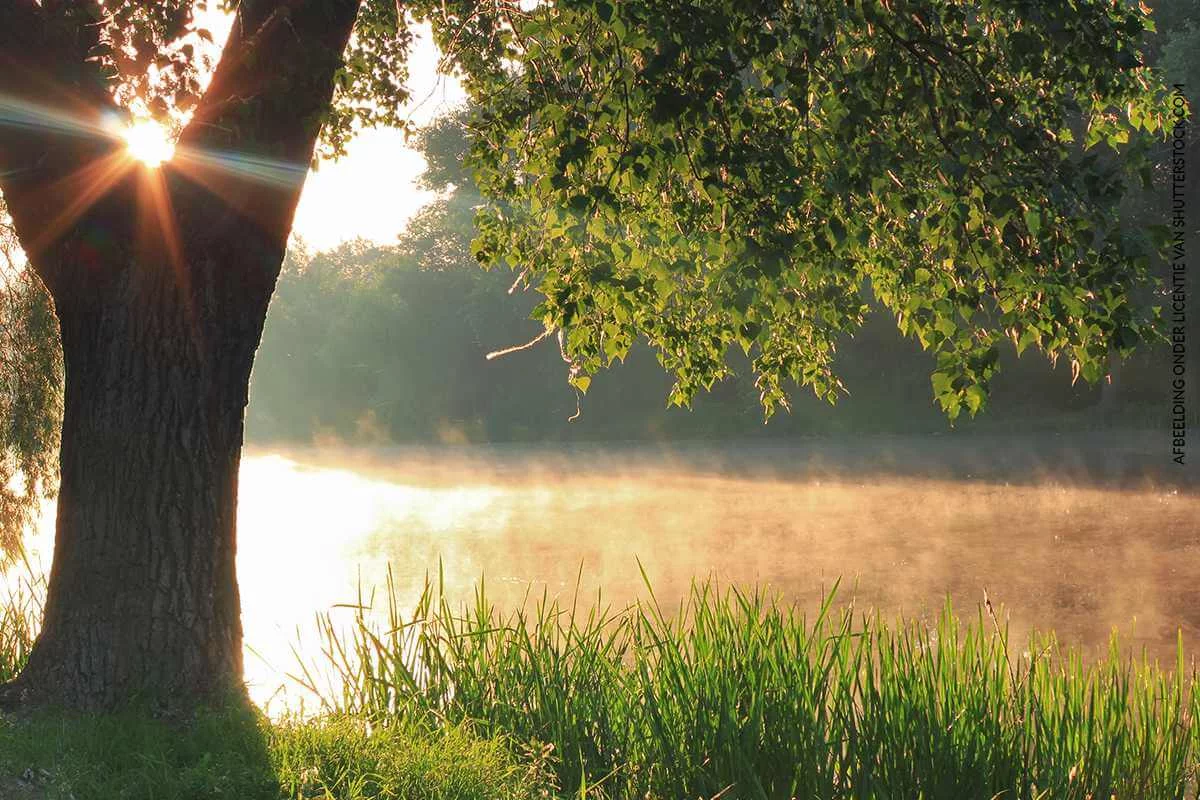 Natuur begraven in Twello